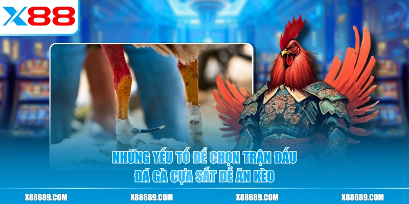 Những yếu tố để chọn trận đấu đá gà cựa sắt dễ ăn kèo